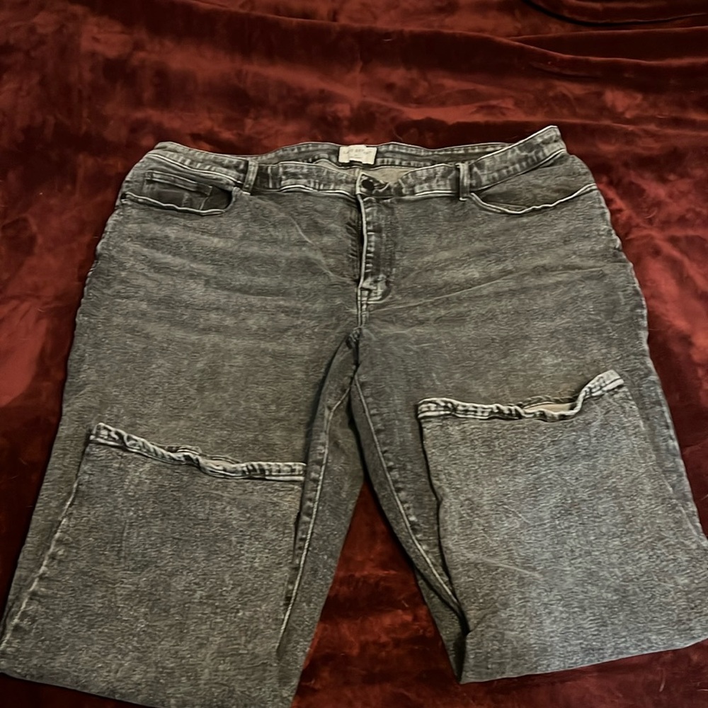 Lane Bryant jeans